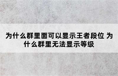 为什么群里面可以显示王者段位 为什么群里无法显示等级